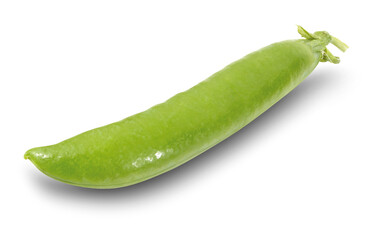 Vaina cerrada de guisante cruda sobre fondo blanco. Closed pod of raw pea on white background.