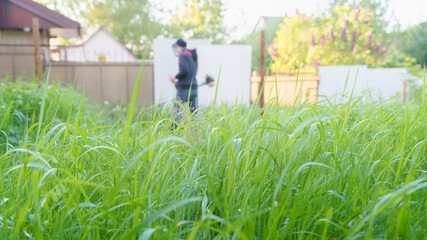 man mows grass with trimmer, focus on foreground blurred background