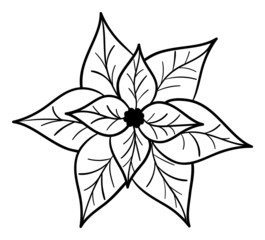 Isolated Christmas Poinsettia in Black and White Colours. Vector Poinsettia
