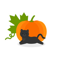 Cat on the pumpkin on a white background.
