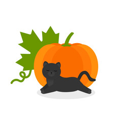 This is a vector illustration. Cat on pumpkin isolated on a white background.