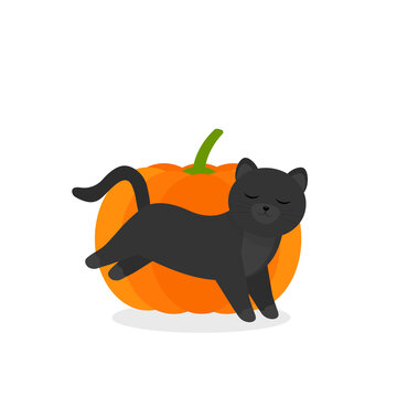 1 572 Best Happy Thanksgiving Cat Images Stock Photos Vectors Adobe Stock 1 572 Best Happy Thanksgiving Cat Images Stock Photos Vectors Adobe Stock