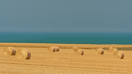 Golden field with cylindrical hay stacks on the French opal coast © Kristof Lauwers