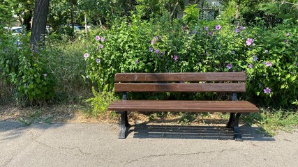 wooden bench with flowers