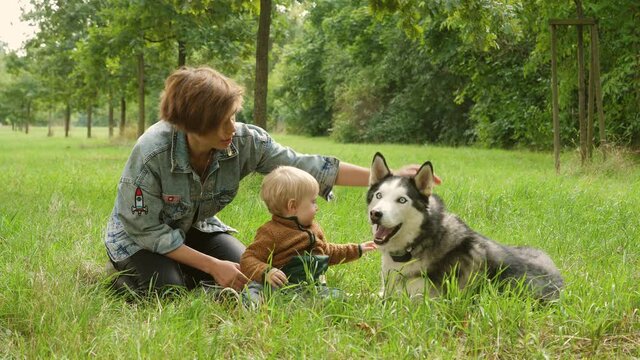 Young mother with baby infant child boy stroking big pet husky dog lying on a green grass in park