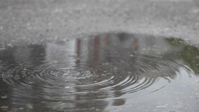 rain drops on water surface