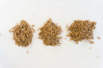 Top view closeup of 3 piles of oat seeds on white background