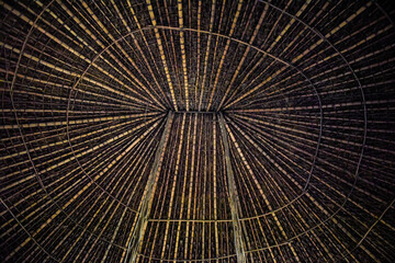 Waimiri-Atroari home