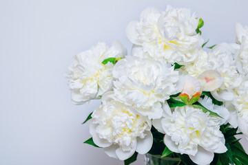 Obraz na płótnie Canvas Beautiful white peony flowers bouquet with water drops on petals on a white background.