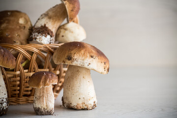 heap of fresh harvested forest mushrooms in basket