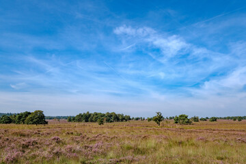 The only known example of a Roman marching camp in the Netherlands on Ermelose heide, Gelderland Province, The Netherlands