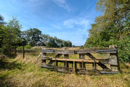 Ermelose heide, Gelderland Province, The Netherlands