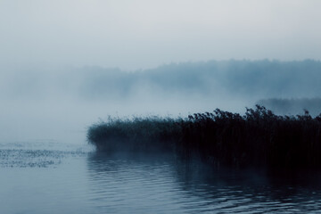 mgła nad jeziorem - obrazy, fototapety, plakaty