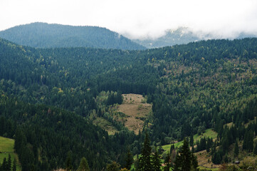 Fototapeta na wymiar Beautiful summer view at the famous Carpathian summit, Ukraine, Bukovel.