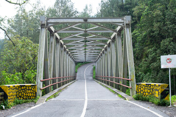 A bridge in the forest that looks old.