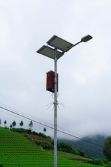 Solar panel street lighting with plantation hill background. 