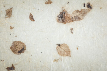 Natural dry leaves paper texture. handmade paper