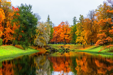 Obraz premium Autumn landscape, beautiful city park with fallen yellow leaves.