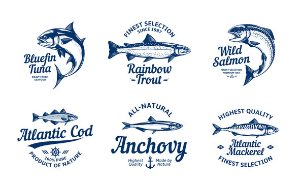 Vector fish vintage logo and fish illustrations for groceries, fisheries, packaging and advertising