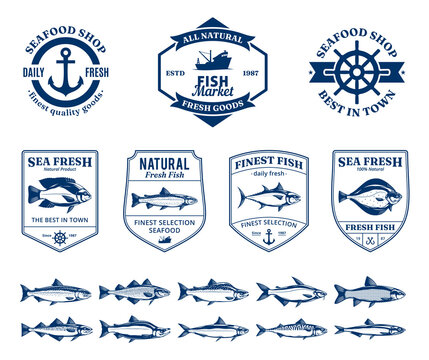 Vector seafood design elements, label templates, emblems and fish illustrations