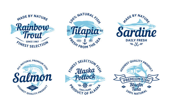 Vector fish vintage logo and fish illustrations for groceries, fisheries, packaging and advertising