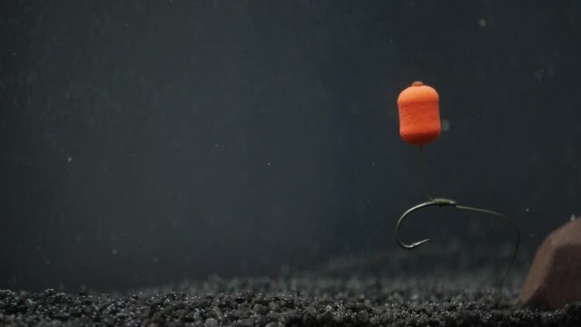Carp fishing flat feeder montageunderwater