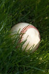 Baseball in grass