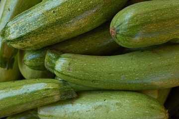 young green zucchini on the market close-up
