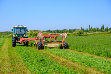 red tractor in a farm field while mowing the grass for silage