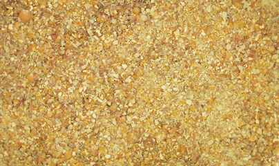 Bird food made from corn - Textured foto