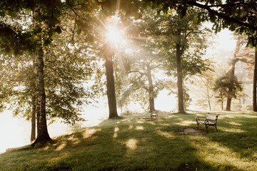 ławka w parku, wschód słońca, promienie słoneczne - obrazy, fototapety, plakaty