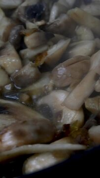 Finely chopped mushrooms are fried in pan in boiling vegetable or olive oil. Domestic kitchen. Dolly shot. Vertical video. Close-up.