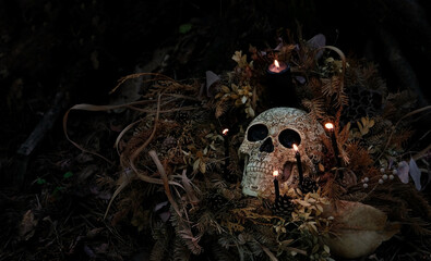 human skull, candles, dry leaves on dark background. magic esoteric ritual. Mysticism, divination,...