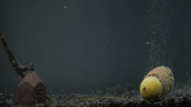 Carp food underwater. Boil montage with PVA candy
