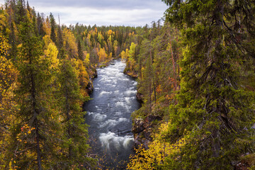 Wonderful autumn landscape with blue river and yellow forest, Oulanka National park, Finland