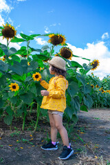 Beautiful girl in a field of sunflowers