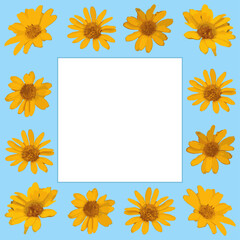 Frame with yellow flowers on blue background. Square template for social media posts, mobile applications, banner design, photo and online advertising. Vector illustration.