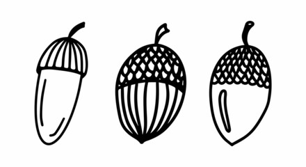 Vector acorn, oak fruit isolated on white background icon. Illustration for seasonal design, textile, decoration kids playroom or greeting card, autumn and halloween. Hand drawn prints and doodle.