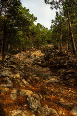 mountain range of stones in the mountain with trees around