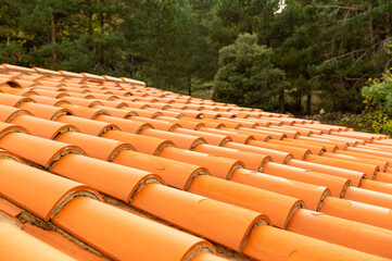 orange tile roof with the forest in the background