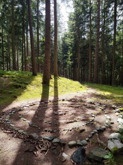 Sonnige Waldlichtung mit mystischer Steinspirale