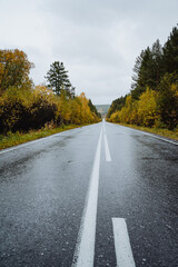 Fototapeta premium Autumn the road goes into the distance. An empty road passes through the forest. Asphalt in the mountains against the background of the autumn forest.
