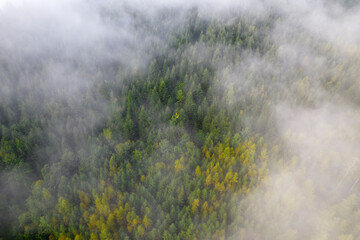 Top down aerial view of mountains covered  fog.
Еreetops are covered with fog.