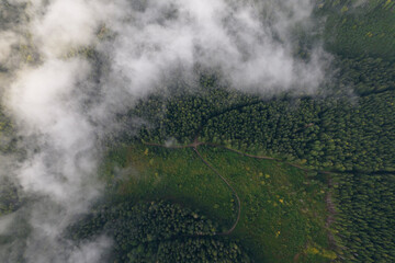 Top down aerial view of mountains covered  fog.
Treetops are covered with fog.
Colorful morning landscape.