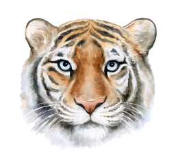 Tiger face, portrite. muzzle illustration isolated on white background. Watercolor. Hand drawn. Tiger head. Printing, books, textiles, design, postcard, book, design. Symbol of 2022