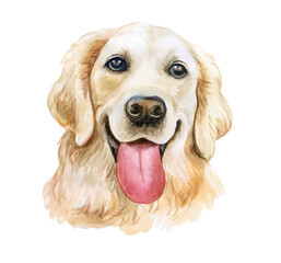 Labrador Retriever portrait, muzzle. Watercolor. Dog isolated on white background. Large-sized longhair gun dog. Hand drawn sweet home pet. Greeting card design. Clip art