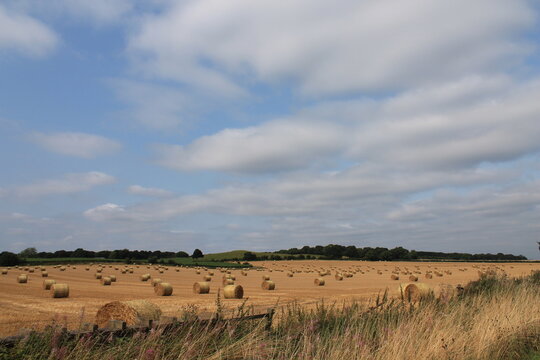 Round hay bales in a field on a hot summers afternoon near Wakefield West Yorkshire In the UK