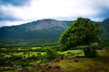 Fototapeta premium Landscape from Masinagudi, India