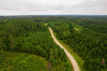 Aerial view from drone of idyllic country road leading through gallant pine and birch forests in...