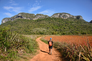 Beautiful landscape in the Valley of Viñales, Cuba